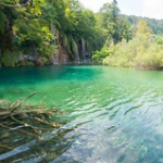 Lacs de Plitvice • <a style="font-size:0.8em;" href="http://www.flickr.com/photos/56388541@N06/20429177256/" target="_blank">View on Flickr</a>