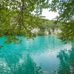 Lacs de Plitvice • <a style="font-size:0.8em;" href="http://www.flickr.com/photos/56388541@N06/20340875856/" target="_blank">View on Flickr</a>