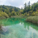 Lacs de Plitvice • <a style="font-size:0.8em;" href="http://www.flickr.com/photos/56388541@N06/20267293730/" target="_blank">View on Flickr</a>