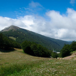 DSC_1943 DSC_1943 • <a style="font-size:0.8em;" href="http://www.flickr.com/photos/56388541@N06/18966413723/" target="_blank">View on Flickr</a>