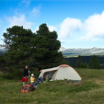 DSC_1951 DSC_1951 • <a style="font-size:0.8em;" href="http://www.flickr.com/photos/56388541@N06/19400669599/" target="_blank">View on Flickr</a>