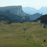 DSC_2064 DSC_2064 • <a style="font-size:0.8em;" href="http://www.flickr.com/photos/56388541@N06/18965499783/" target="_blank">View on Flickr</a>