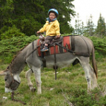 DSC_2184 DSC_2184 • <a style="font-size:0.8em;" href="http://www.flickr.com/photos/56388541@N06/19399275539/" target="_blank">View on Flickr</a>