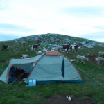 DSC_2168 DSC_2168 • <a style="font-size:0.8em;" href="http://www.flickr.com/photos/56388541@N06/18965164243/" target="_blank">View on Flickr</a>