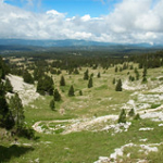 DSC_2172 DSC_2172 • <a style="font-size:0.8em;" href="http://www.flickr.com/photos/56388541@N06/19559768756/" target="_blank">View on Flickr</a>