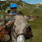 DSC_2037 DSC_2037 • <a style="font-size:0.8em;" href="http://www.flickr.com/photos/56388541@N06/19586636625/" target="_blank">View on Flickr</a>