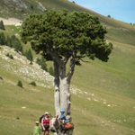 DSC_2054 DSC_2054 • <a style="font-size:0.8em;" href="http://www.flickr.com/photos/56388541@N06/18965586143/" target="_blank">View on Flickr</a>