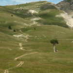 DSC_2030 DSC_2030 • <a style="font-size:0.8em;" href="http://www.flickr.com/photos/56388541@N06/19591033331/" target="_blank">View on Flickr</a>