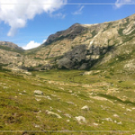 • <a style="font-size:0.8em;" href="http://www.flickr.com/photos/56388541@N06/19536362021/" target="_blank">View on Flickr</a>