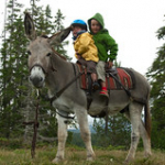 DSC_2193 DSC_2193 • <a style="font-size:0.8em;" href="http://www.flickr.com/photos/56388541@N06/19578882822/" target="_blank">View on Flickr</a>