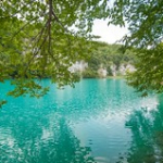 Lacs de Plitvice Lacs de Plitvice • <a style="font-size:0.8em;" href="http://www.flickr.com/photos/56388541@N06/20340875856/" target="_blank">View on Flickr</a>