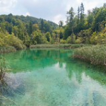 Lacs de Plitvice Lacs de Plitvice • <a style="font-size:0.8em;" href="http://www.flickr.com/photos/56388541@N06/20267293730/" target="_blank">View on Flickr</a>