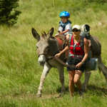 DSC_1918 DSC_1918 • <a style="font-size:0.8em;" href="http://www.flickr.com/photos/56388541@N06/19399552310/" target="_blank">View on Flickr</a>