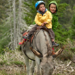 DSC_2187 DSC_2187 • <a style="font-size:0.8em;" href="http://www.flickr.com/photos/56388541@N06/19590113401/" target="_blank">View on Flickr</a>