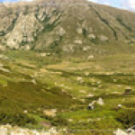 • <a style="font-size:0.8em;" href="http://www.flickr.com/photos/56388541@N06/19532099385/" target="_blank">View on Flickr</a>