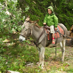 DSC_2208 DSC_2208 • <a style="font-size:0.8em;" href="http://www.flickr.com/photos/56388541@N06/18964701693/" target="_blank">View on Flickr</a>