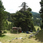 DSC_2007 DSC_2007 • <a style="font-size:0.8em;" href="http://www.flickr.com/photos/56388541@N06/18964202954/" target="_blank">View on Flickr</a>