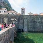 DSC_1988 DSC_1988 • <a style="font-size:0.8em;" href="http://www.flickr.com/photos/56388541@N06/20455550535/" target="_blank">View on Flickr</a>