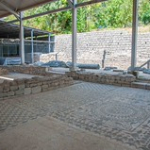 DSC_1942 DSC_1942 • <a style="font-size:0.8em;" href="http://www.flickr.com/photos/56388541@N06/20267453490/" target="_blank">View on Flickr</a>