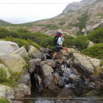 • <a style="font-size:0.8em;" href="http://www.flickr.com/photos/56388541@N06/19344238038/" target="_blank">View on Flickr</a>