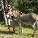 DSC_2221 DSC_2221 • <a style="font-size:0.8em;" href="http://www.flickr.com/photos/56388541@N06/19589867271/" target="_blank">View on Flickr</a>