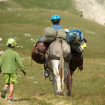 DSC_2046 DSC_2046 • <a style="font-size:0.8em;" href="http://www.flickr.com/photos/56388541@N06/19590850131/" target="_blank">View on Flickr</a>