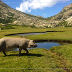 • <a style="font-size:0.8em;" href="http://www.flickr.com/photos/56388541@N06/19525476162/" target="_blank">View on Flickr</a>