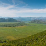 DSC_2589 DSC_2589 • <a style="font-size:0.8em;" href="http://www.flickr.com/photos/56388541@N06/21231785848/" target="_blank">View on Flickr</a>