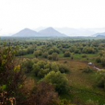 DSC_2224 DSC_2224 • <a style="font-size:0.8em;" href="http://www.flickr.com/photos/56388541@N06/20646975652/" target="_blank">View on Flickr</a>