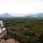 DSC_2221 DSC_2221 • <a style="font-size:0.8em;" href="http://www.flickr.com/photos/56388541@N06/20468161988/" target="_blank">View on Flickr</a>