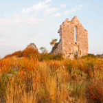 DSC_2132 DSC_2132 • <a style="font-size:0.8em;" href="http://www.flickr.com/photos/56388541@N06/20035261753/" target="_blank">View on Flickr</a>