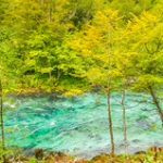 Canyon de la Piva Canyon de la Piva • <a style="font-size:0.8em;" href="http://www.flickr.com/photos/56388541@N06/20798494743/" target="_blank">View on Flickr</a>
