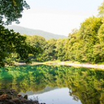 DSC_2303 DSC_2303 • <a style="font-size:0.8em;" href="http://www.flickr.com/photos/56388541@N06/20656158465/" target="_blank">View on Flickr</a>