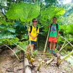 DSC_2327 DSC_2327 • <a style="font-size:0.8em;" href="http://www.flickr.com/photos/56388541@N06/20662844031/" target="_blank">View on Flickr</a>