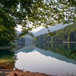 DSC_2302 DSC_2302 • <a style="font-size:0.8em;" href="http://www.flickr.com/photos/56388541@N06/20035212633/" target="_blank">View on Flickr</a>