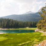 DSC_2383 DSC_2383 • <a style="font-size:0.8em;" href="http://www.flickr.com/photos/56388541@N06/20656156605/" target="_blank">View on Flickr</a>