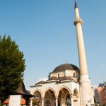 DSC_2348 DSC_2348 • <a style="font-size:0.8em;" href="http://www.flickr.com/photos/56388541@N06/20646968052/" target="_blank">View on Flickr</a>