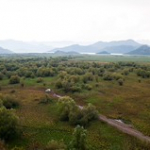 DSC_2225 DSC_2225 • <a style="font-size:0.8em;" href="http://www.flickr.com/photos/56388541@N06/20646974772/" target="_blank">View on Flickr</a>