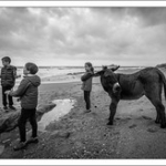 DSC_3083 DSC_3083 • <a style="font-size:0.8em;" href="http://www.flickr.com/photos/56388541@N06/23836510394/" target="_blank">View on Flickr</a>