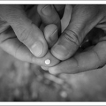 DSC_3047 DSC_3047 • <a style="font-size:0.8em;" href="http://www.flickr.com/photos/56388541@N06/24356839582/" target="_blank">View on Flickr</a>