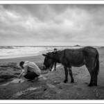 DSC_3073 DSC_3073 • <a style="font-size:0.8em;" href="http://www.flickr.com/photos/56388541@N06/24382461431/" target="_blank">View on Flickr</a>