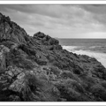 DSC_3091 DSC_3091 • <a style="font-size:0.8em;" href="http://www.flickr.com/photos/56388541@N06/24096872469/" target="_blank">View on Flickr</a>