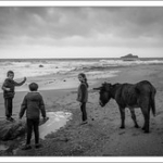 DSC_3081 DSC_3081 • <a style="font-size:0.8em;" href="http://www.flickr.com/photos/56388541@N06/23836550924/" target="_blank">View on Flickr</a>