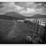 DSC_3095 DSC_3095 • <a style="font-size:0.8em;" href="http://www.flickr.com/photos/56388541@N06/24096769299/" target="_blank">View on Flickr</a>