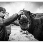 DSC_3061 DSC_3061 • <a style="font-size:0.8em;" href="http://www.flickr.com/photos/56388541@N06/23838184523/" target="_blank">View on Flickr</a>