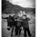 DSC_3059 DSC_3059 • <a style="font-size:0.8em;" href="http://www.flickr.com/photos/56388541@N06/24438832416/" target="_blank">View on Flickr</a>