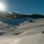 DSC_7534 DSC_7534 • <a style="font-size:0.8em;" href="http://www.flickr.com/photos/56388541@N06/13068271555/" target="_blank">View on Flickr</a>