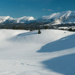 DSC_7430 DSC_7430 • <a style="font-size:0.8em;" href="http://www.flickr.com/photos/56388541@N06/13068583224/" target="_blank">View on Flickr</a>