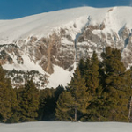 DSC_7479 DSC_7479 • <a style="font-size:0.8em;" href="http://www.flickr.com/photos/56388541@N06/13068265485/" target="_blank">View on Flickr</a>