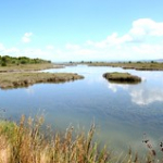 • <a style="font-size:0.8em;" href="http://www.flickr.com/photos/56388541@N06/14634783084/" target="_blank">View on Flickr</a>